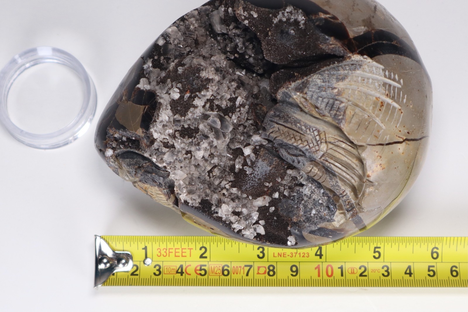 Huge Septarian Dragon Egg 4.3lb Calcite Crystal Cave Fossil Shell Display Stone