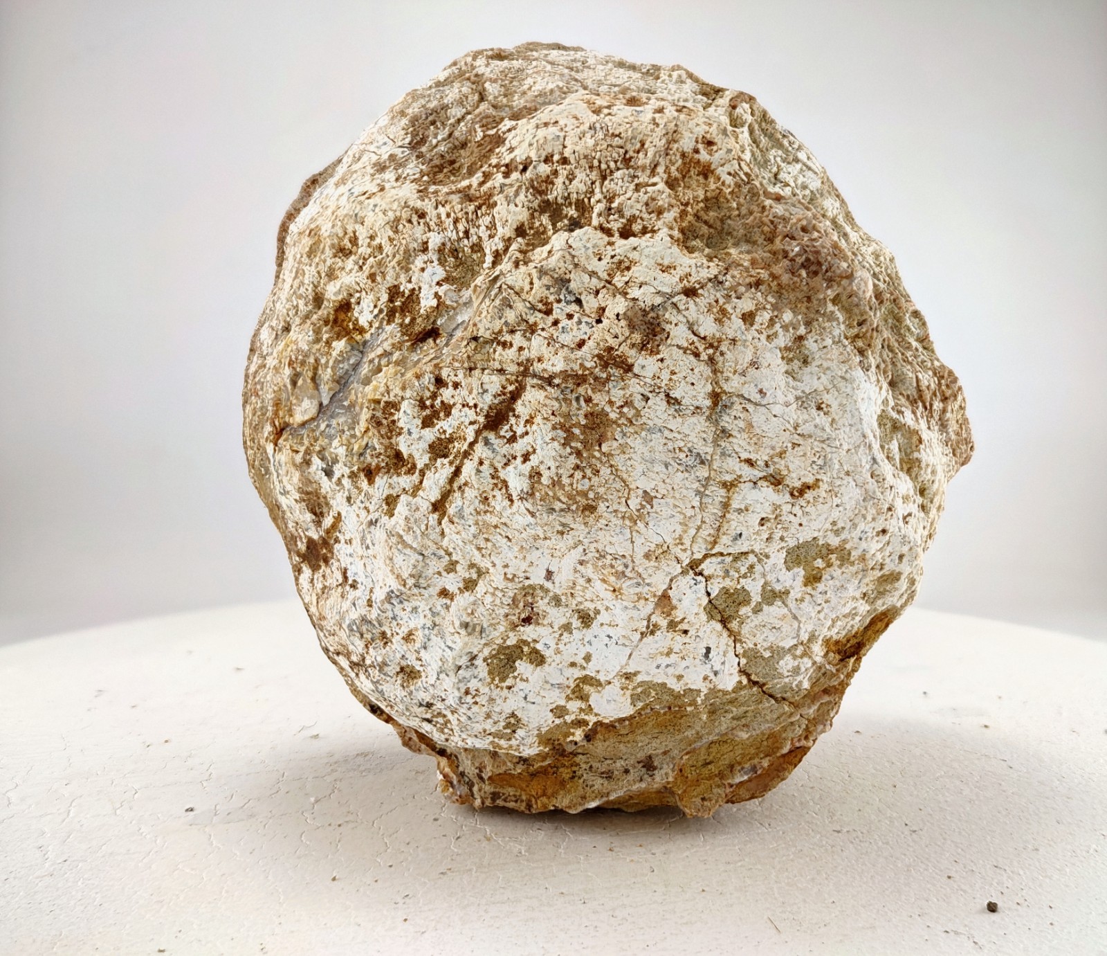 5.25″ Unopened Kentucky Geode Nodule 3.9LB Natural Chalcedony Crystal Quartz