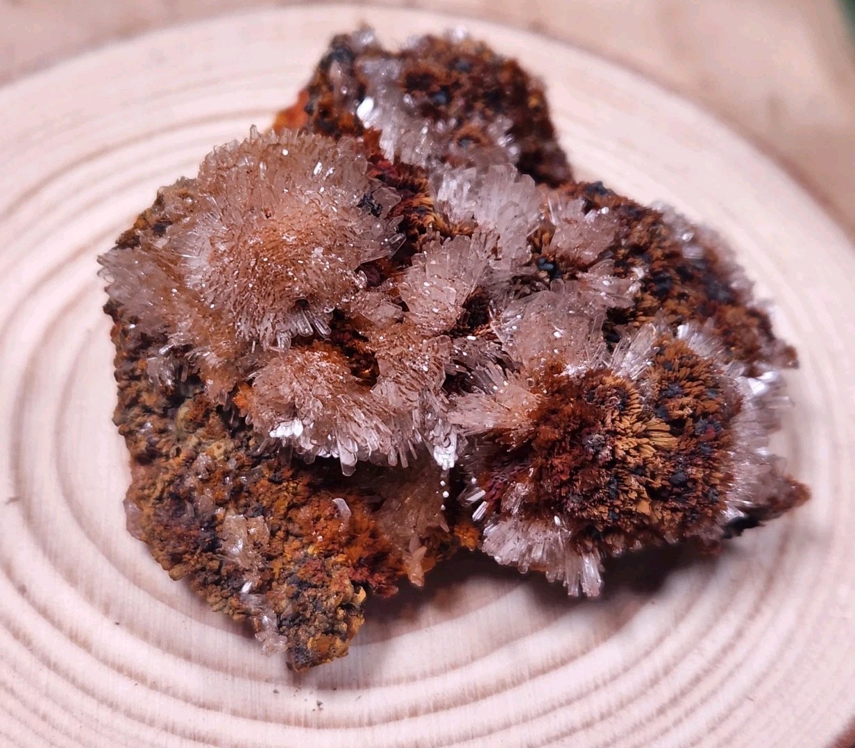 Hemimorphite on Matrix Ojuela Mine Mapimi Durango Mexico 65g Mineral Specimen