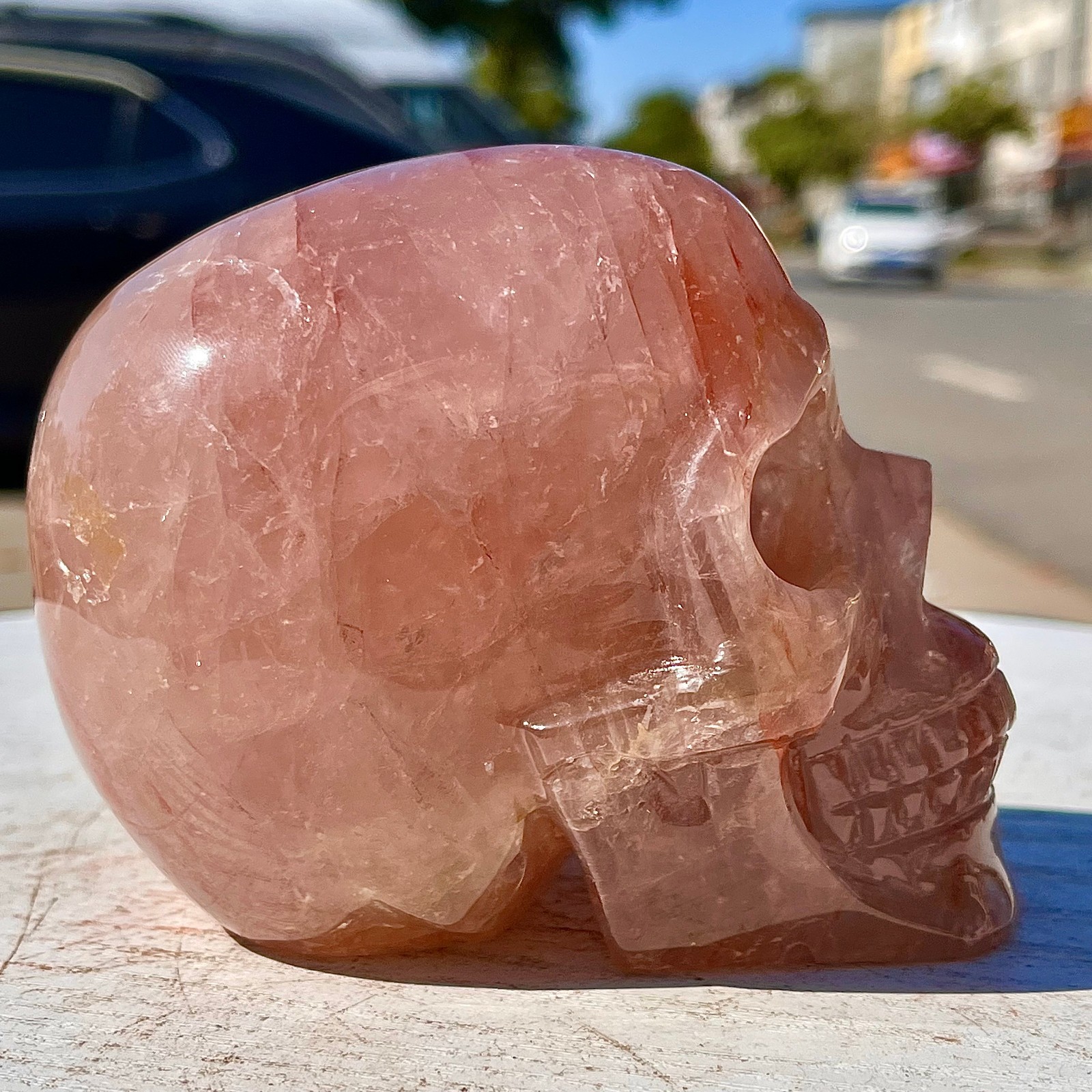 2.53LB Natural dreamy red gum flower skull hand carved skull healing