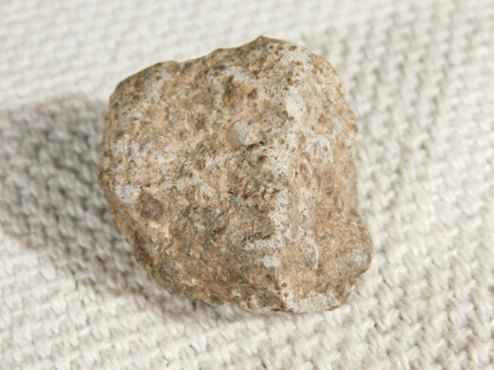 NWA 8245 METEORITE with DARK Fusion Crust & Contraction CRACKS Morocco 36.1gr