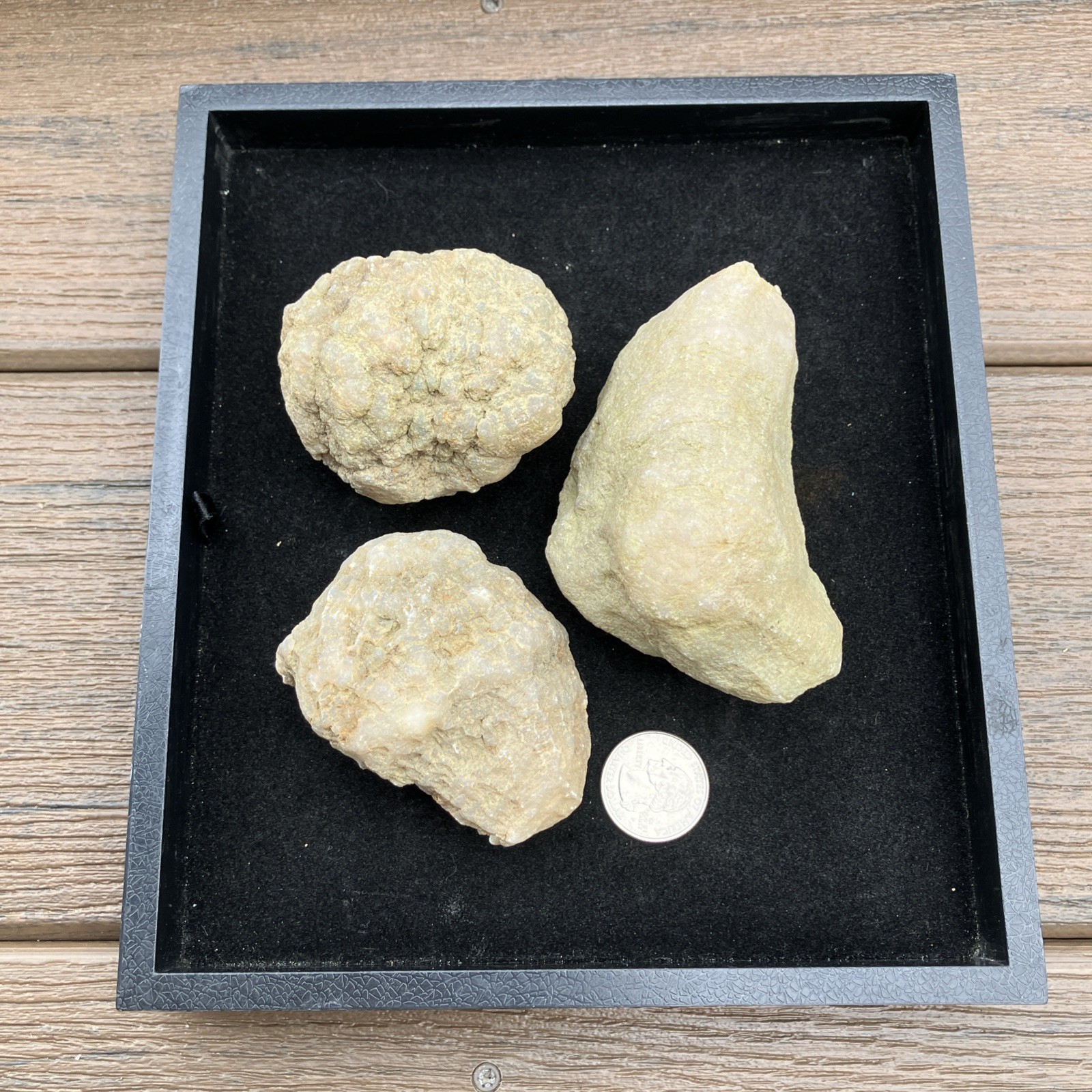 Three Unopened Indiana Geodes Crack Your Own! Fossils Minerals Educational Fun