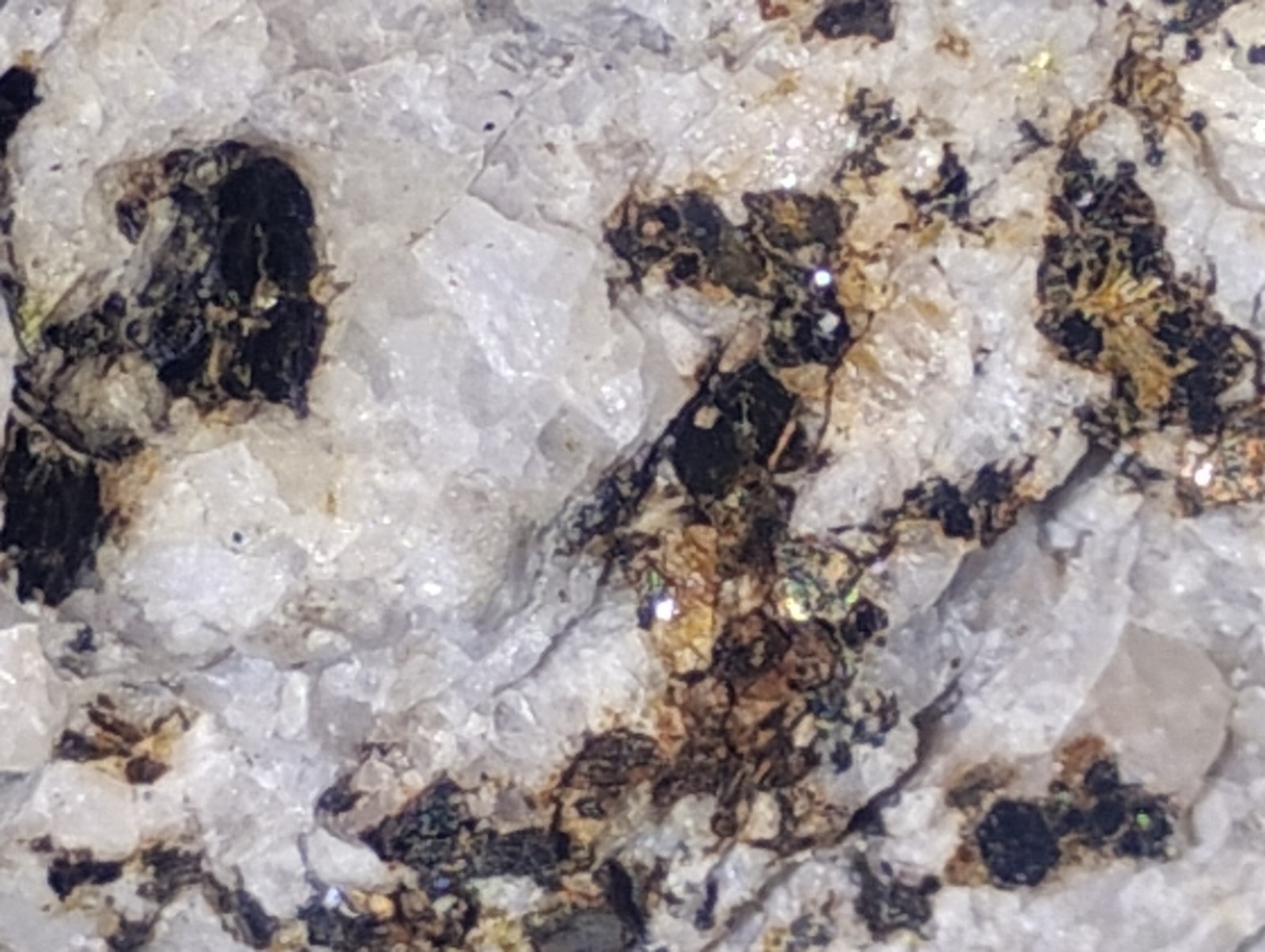 Polymetallic Ore Matrix Quartz, Pyrite & Silver/Black Sulfides – Blue Mountain?