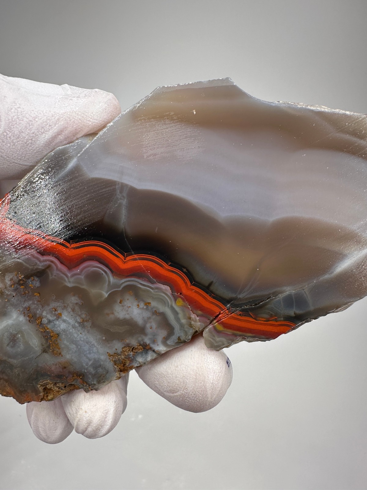 Beautiful Large Kentucky Agate Lapidary Slab from Estill County