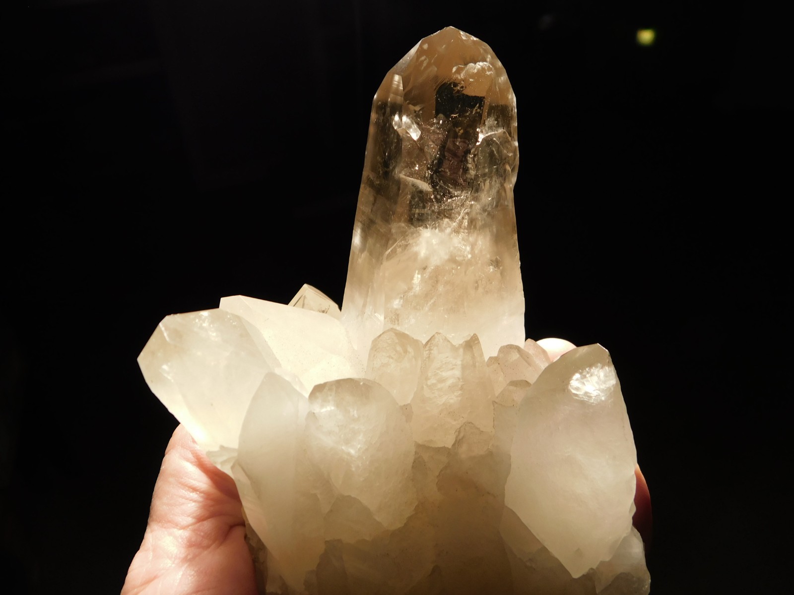 BIG! Free Standing! SMOKY Quartz Crystal Cluster From Brazil 792gr
