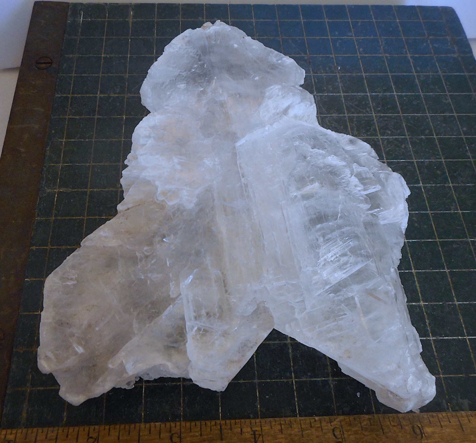 Fish Tail Selenite. Natural. Gypsum Specimen. 6.5″ (165mm). 1 pound 6 ounces