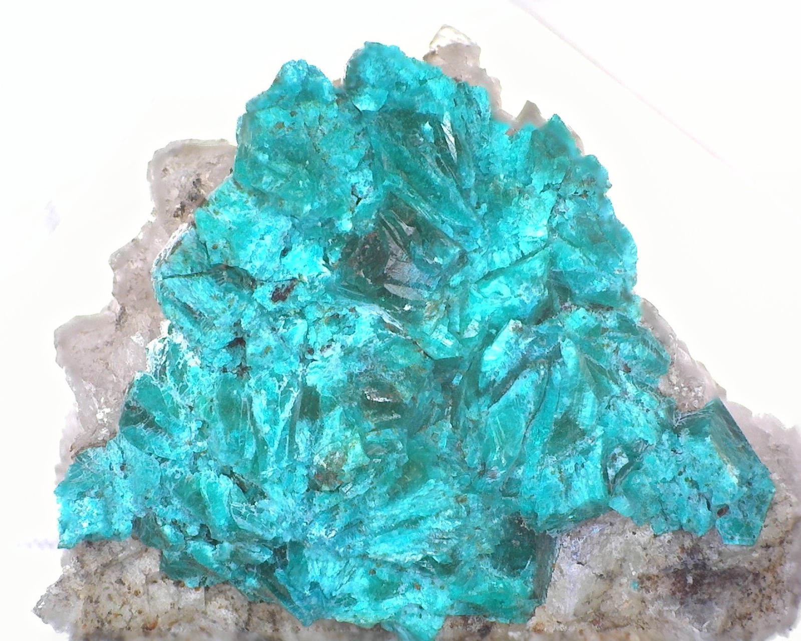 05798 MM Dioptase MD010257 Namibia (No Specific Location)