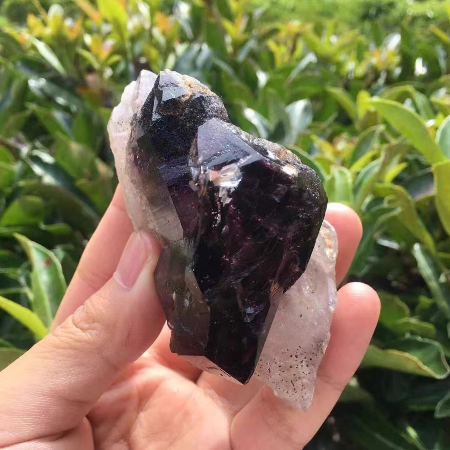 237g natural amethyst Melody stone *7*psychic abilities spiritual elevation