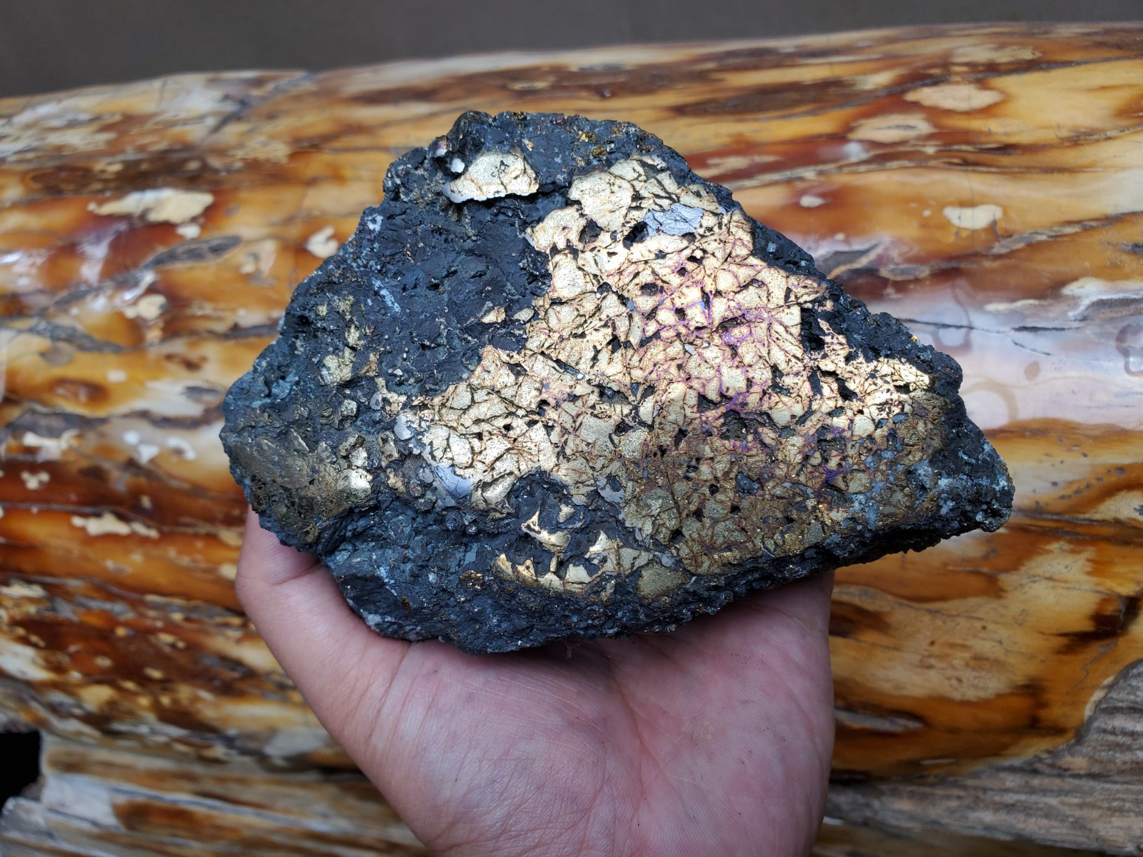 1469G Top Raw Sphalarite ,Chalcopyrite Peacock Partly Polished Specimen