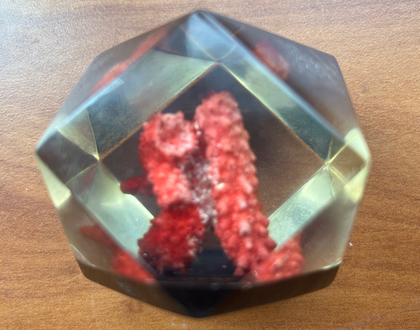 Vtg Lucite Resin 3D Hexagon W/ Red Coral ocean Art Paperweight Decor. Freeport