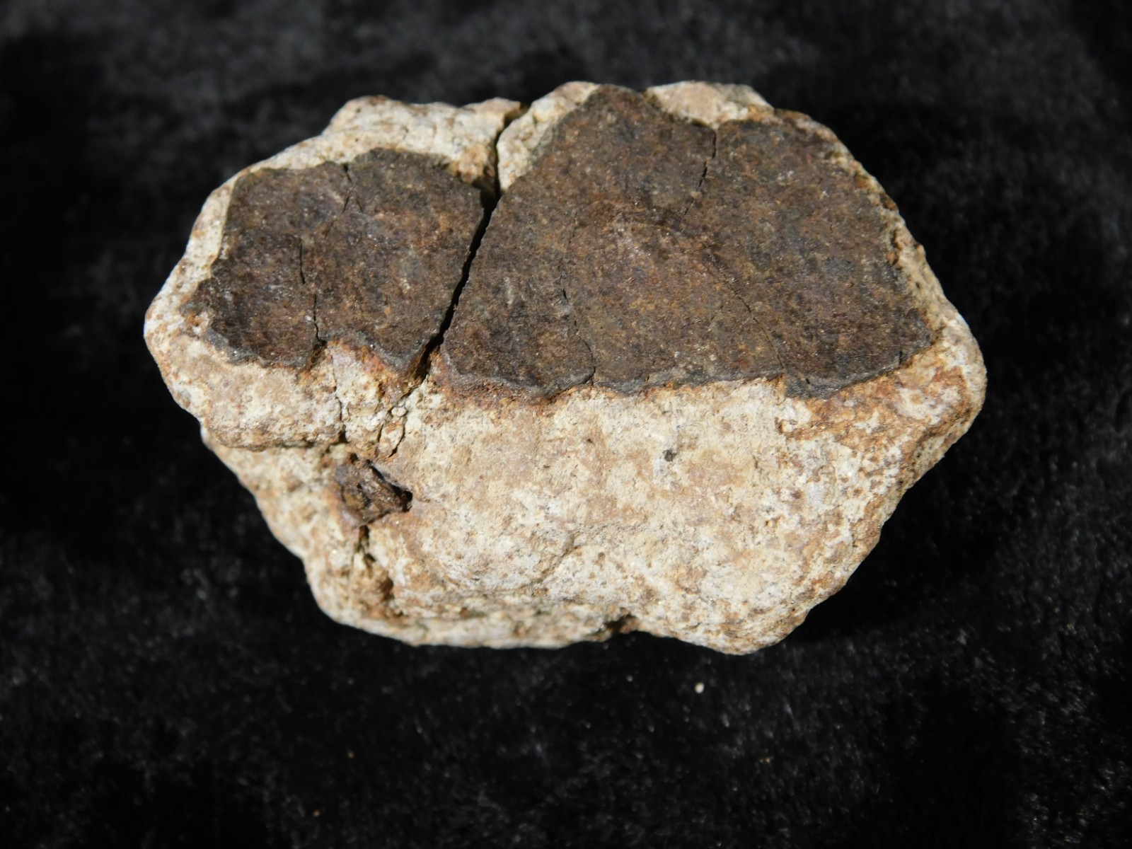 Classified NWA 8245 METEORITE Spots of Dark Fusion Crust! Erfoud, Morocco 52.8gr