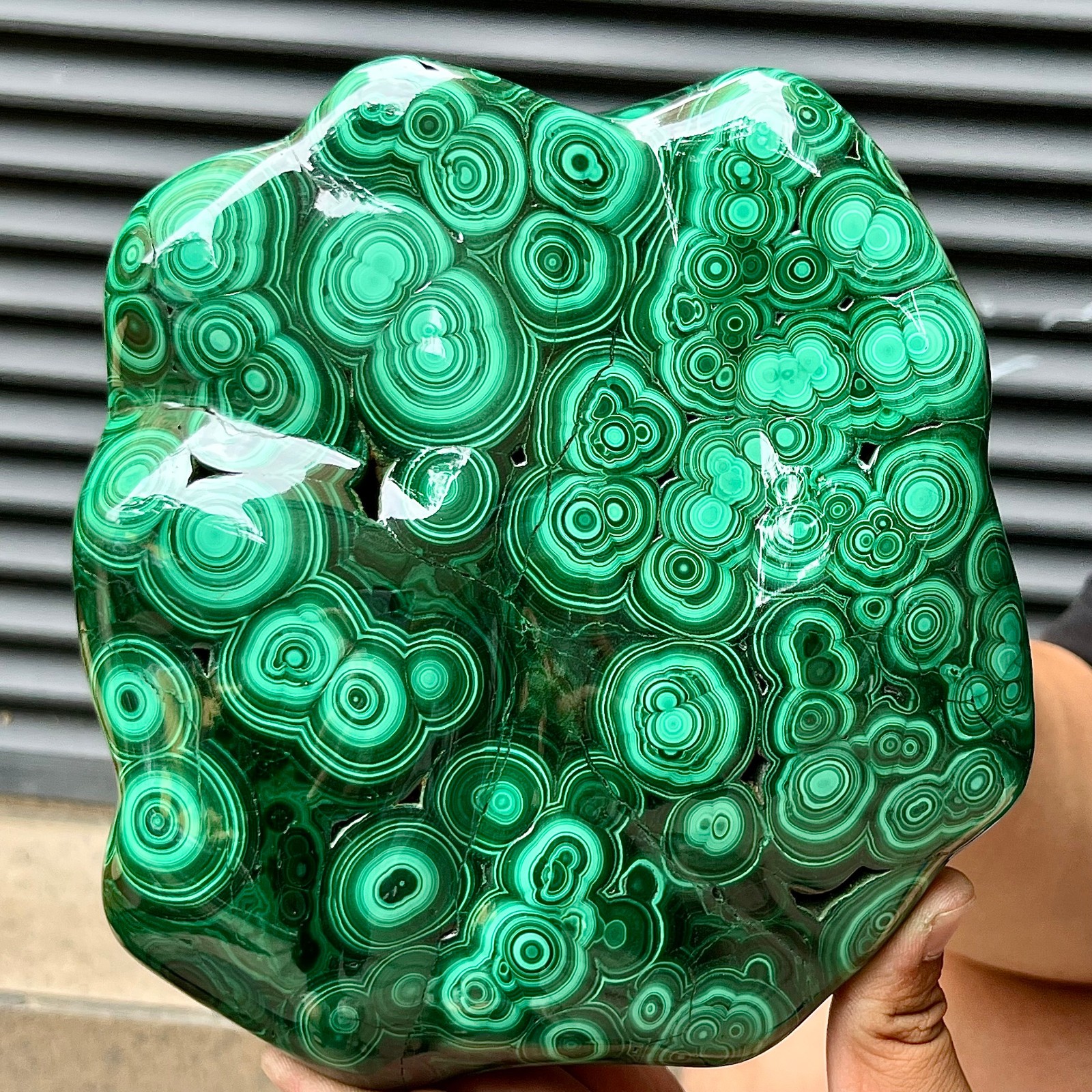 Natural Malachite Stone Polished Slab Bull Eye Pattern Display Decor 7.1 lb