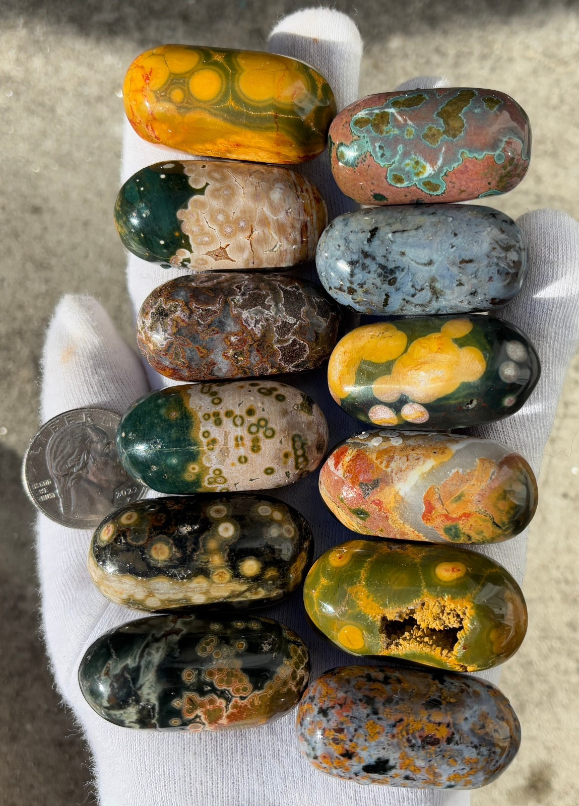 US SALE 349g LOT 12 OJ OCEAN JASPER LOG TUMBLE TUMBLES TUMBLED STONE STONES