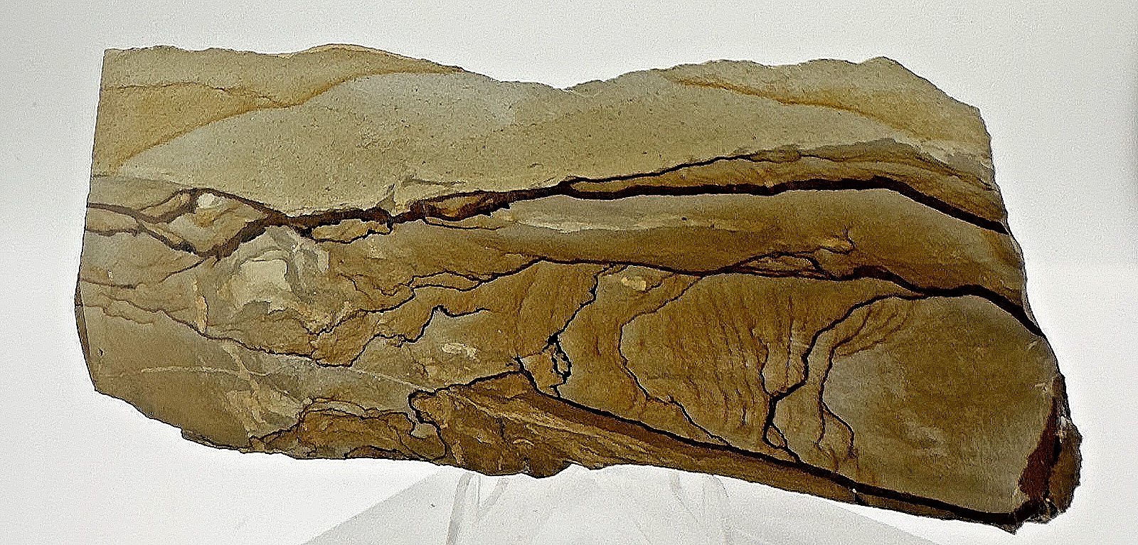 3) Rare Polished Ohwlee Picture Jasper Slab 4.75″ Display Specimen 2.25 oz