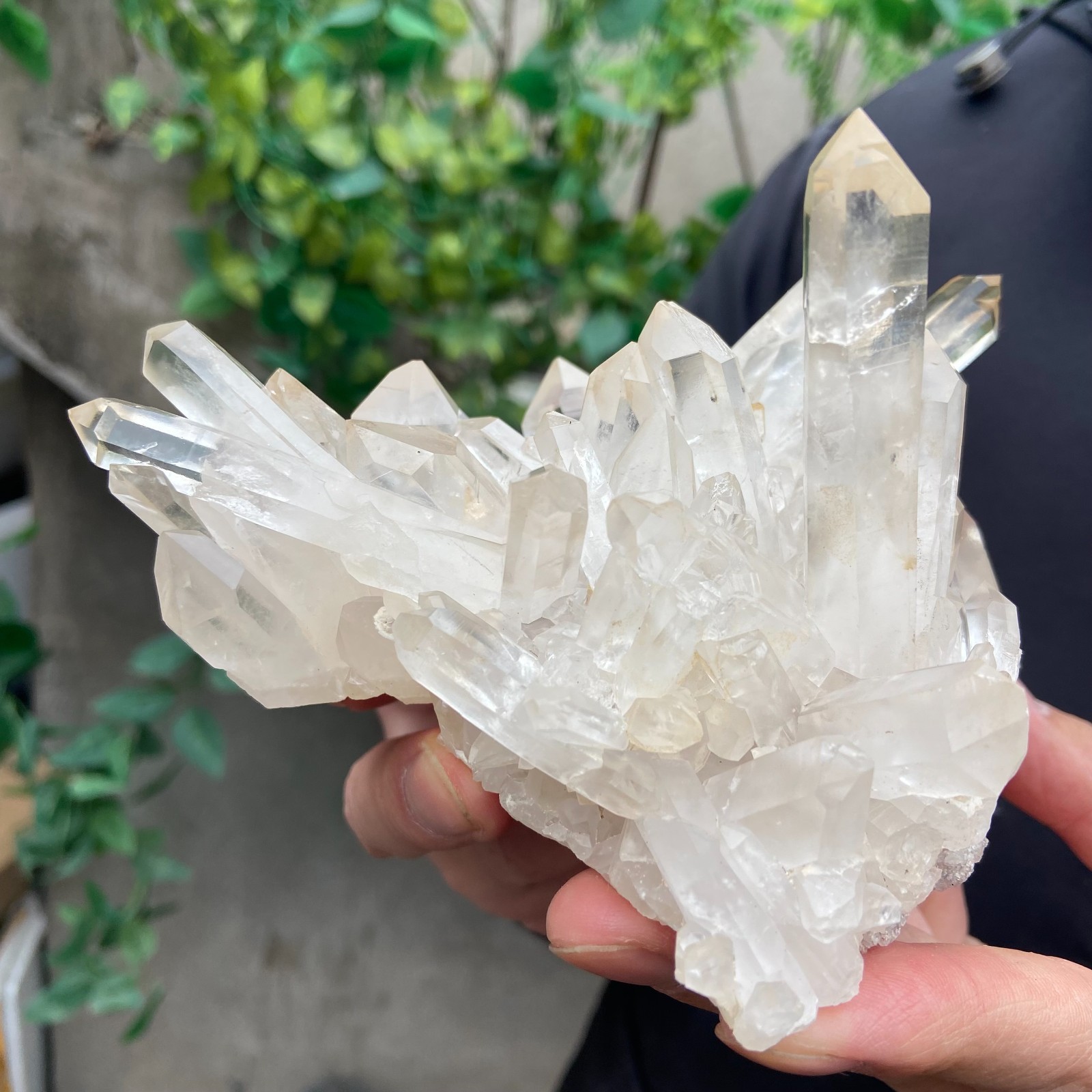 1.6lb Natural clear white quartz crystal cluster mineral specimen healing
