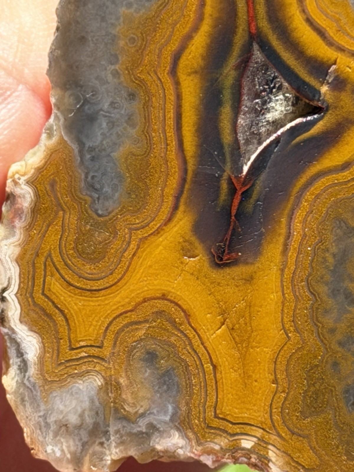 Vibrant Kentucky Agate Specimen – Irvine, KY | Rich Yellow, Red, & Smoky Purple