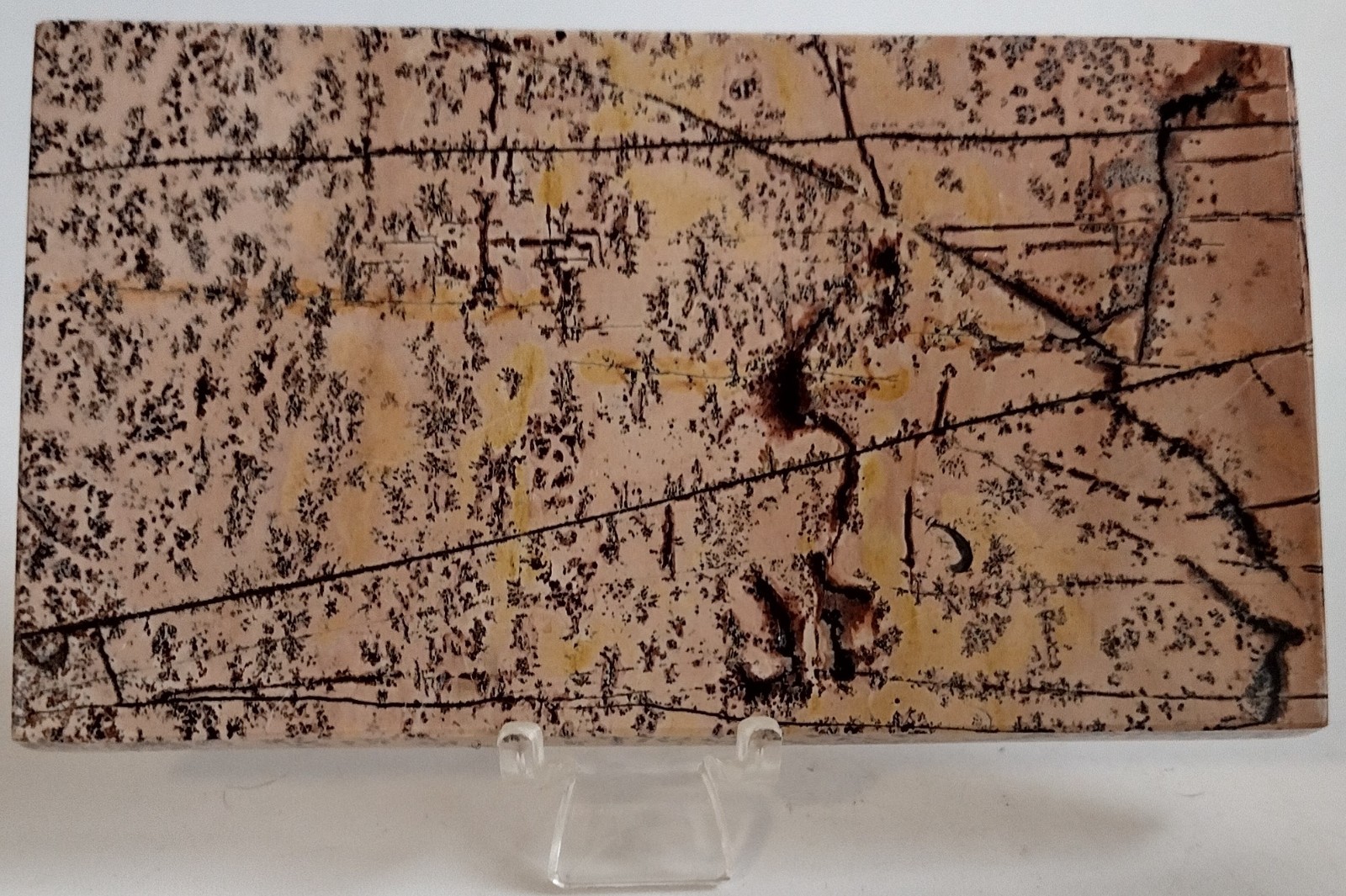 Large Picture Jasper Slab w/ Stand Polished Landscape Stone Display 272g
