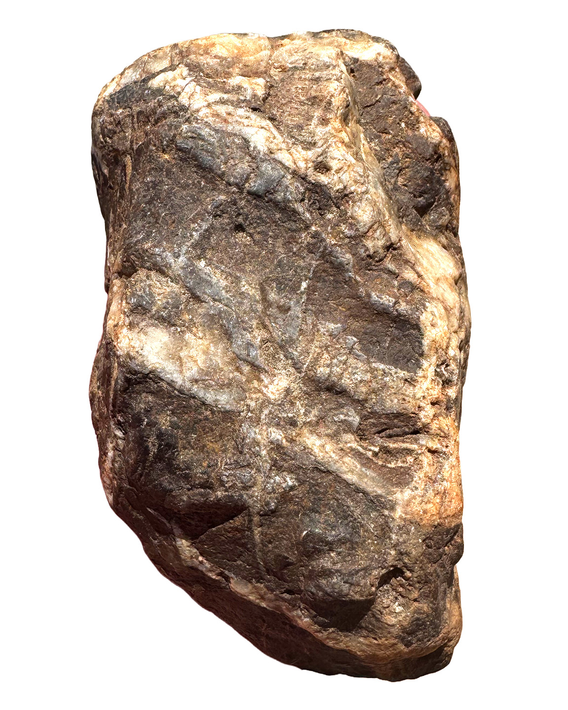 13 oz Brecciated Jasper Rock with Quartz Vein Vivid Iron Color Rough
