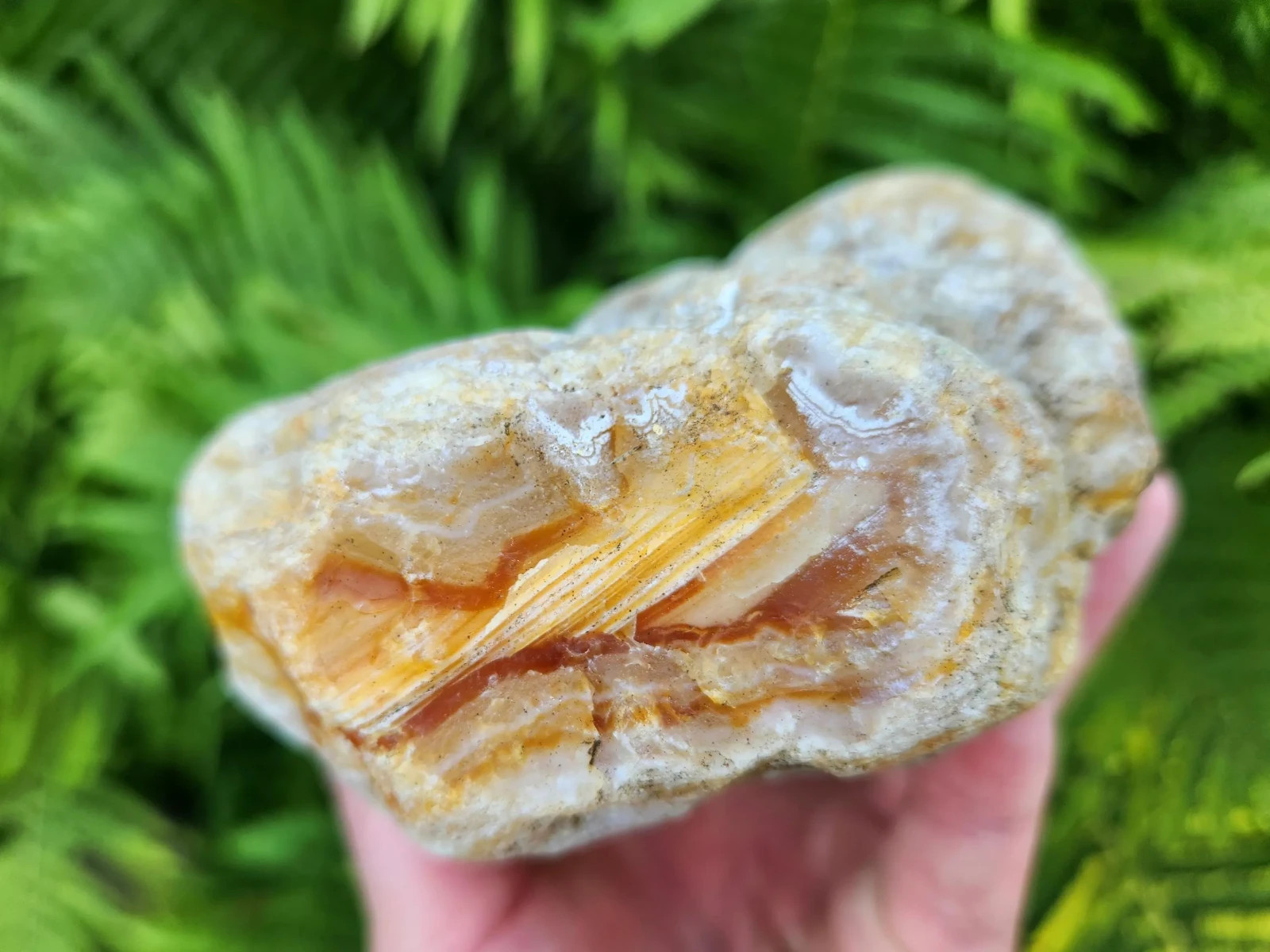 Large Oregon River Agate w/ Waterline Features, 2 lbs 4 oz, Chalcedony, Lapidary