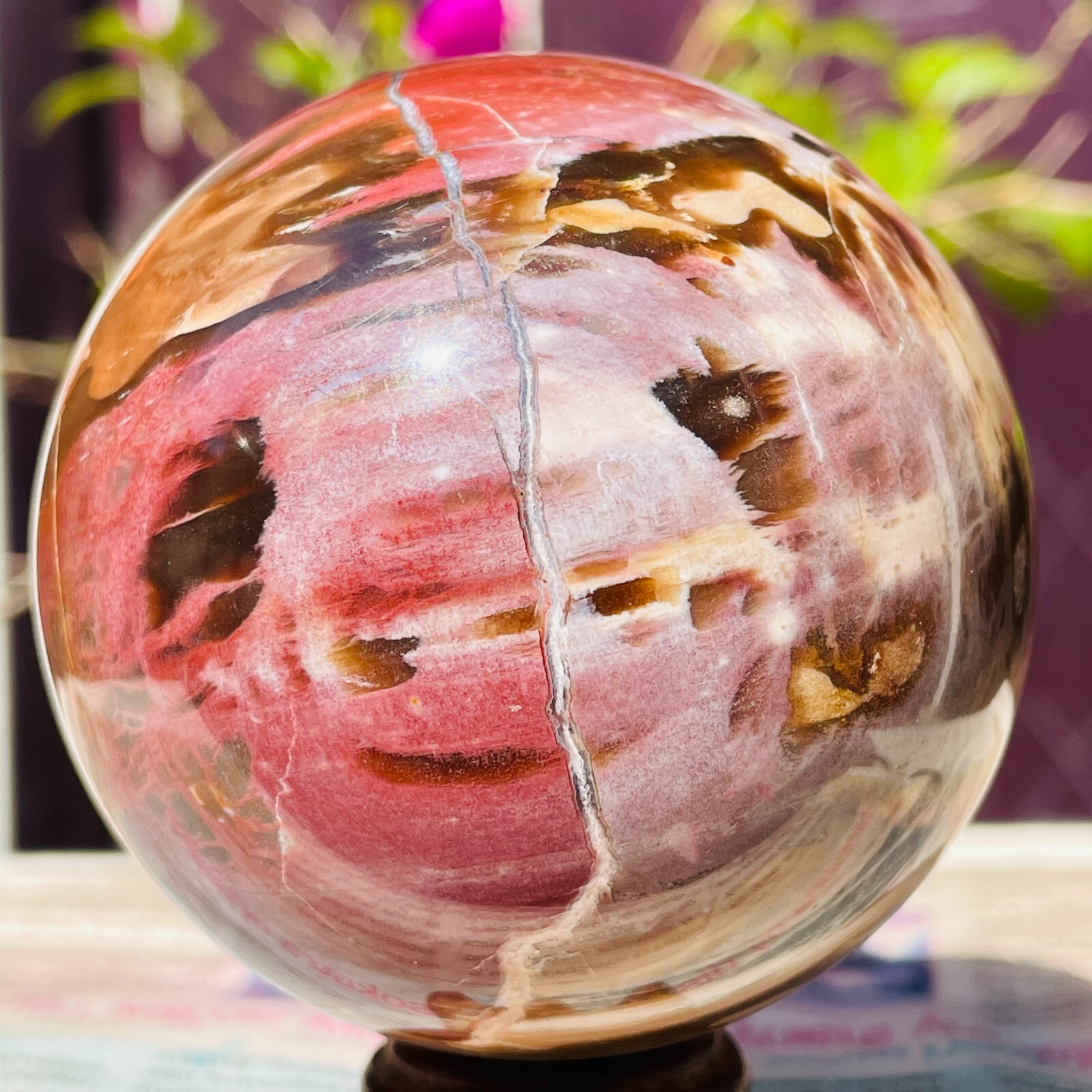 488g Natural Red Petrified Wood Crystal Ball Fossil Polished Sphere Specimen