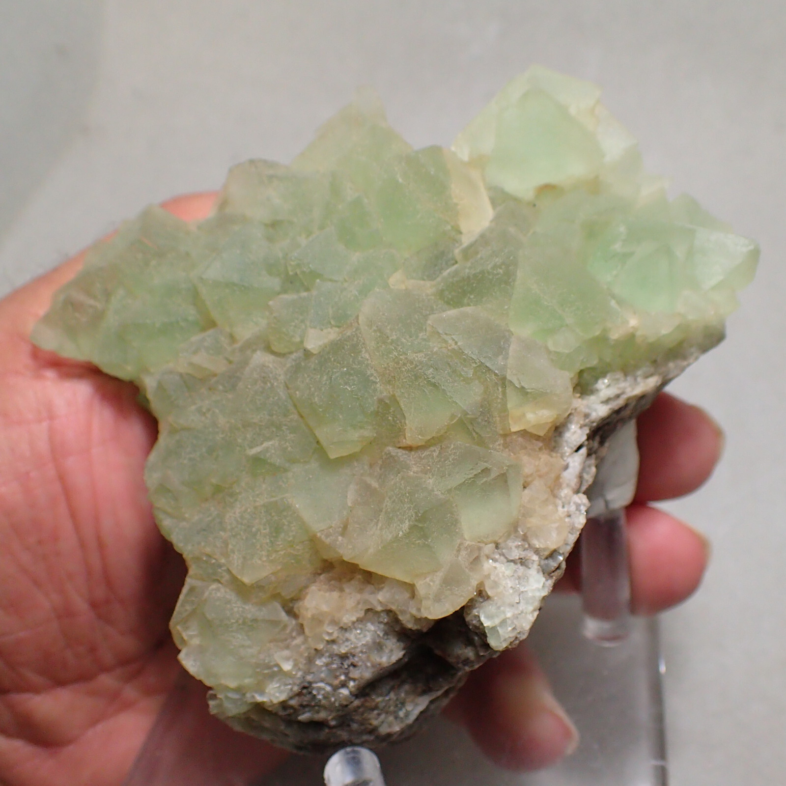 Fluorite, Hirschau, Gastein Valley. Salzburg, Austria