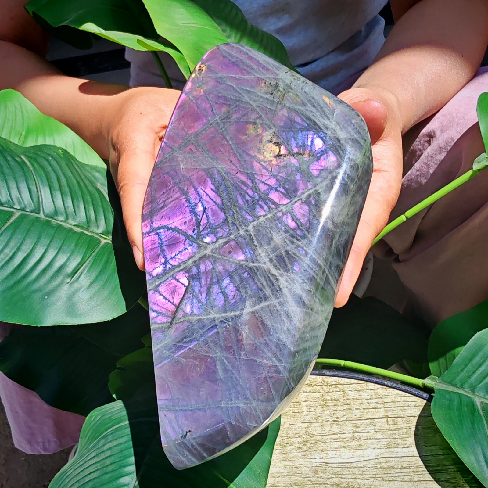 2.75LB TOP Natural Purple light labradorite quartz spectrolite crystal
