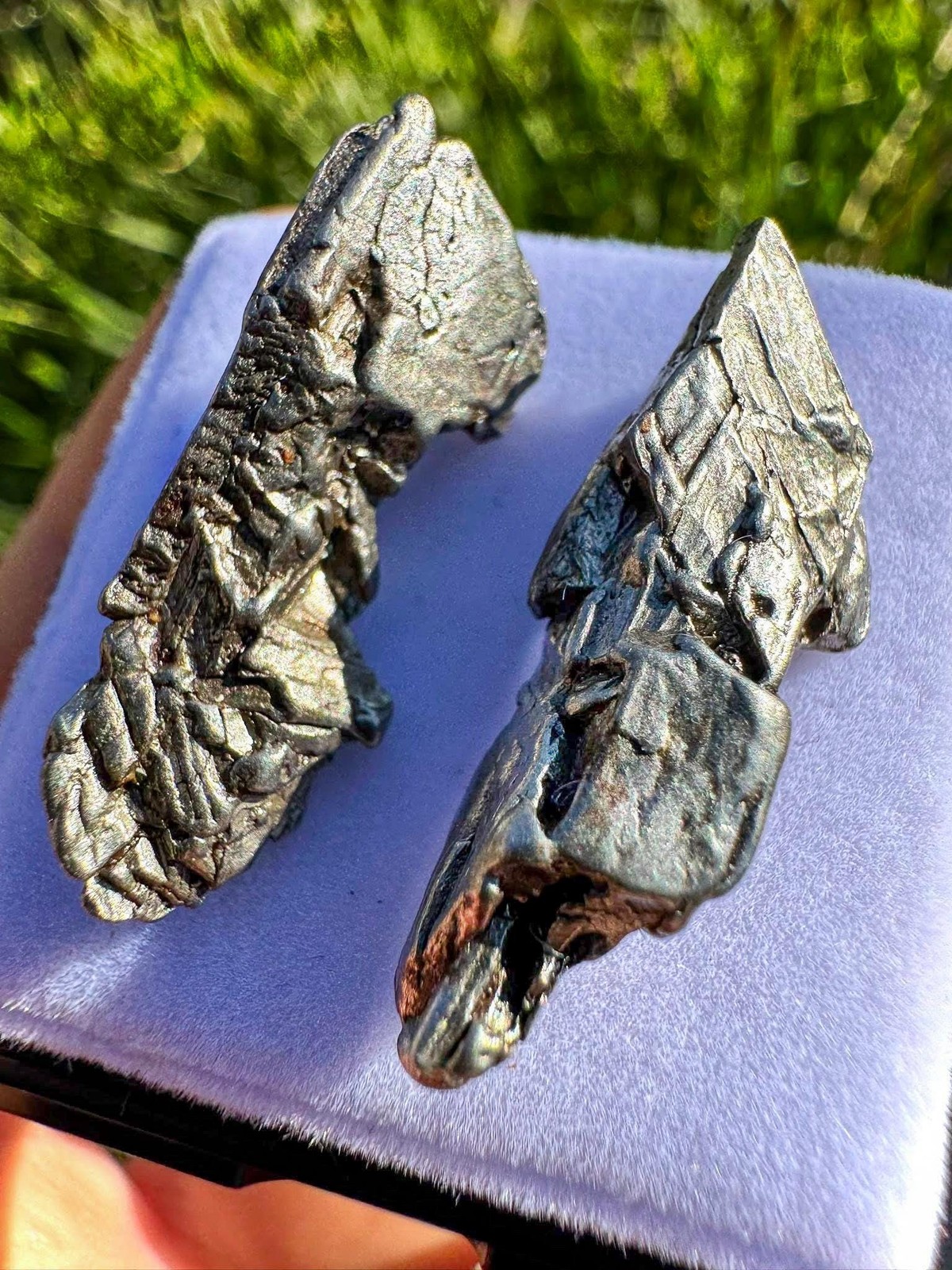 Genuine Aletai Iron Meteorite / From the Asteroid Belt Between MARS AND JUPITER!
