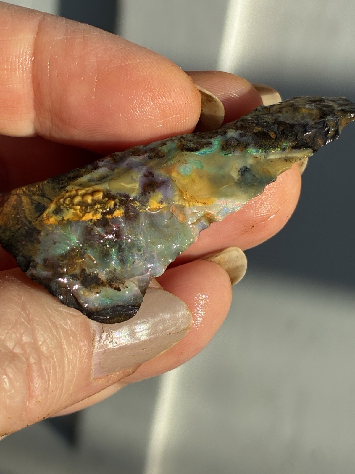 Beautiful 89ct Large Australian Boulder Opal Rough Loose Multicolor Specimen J