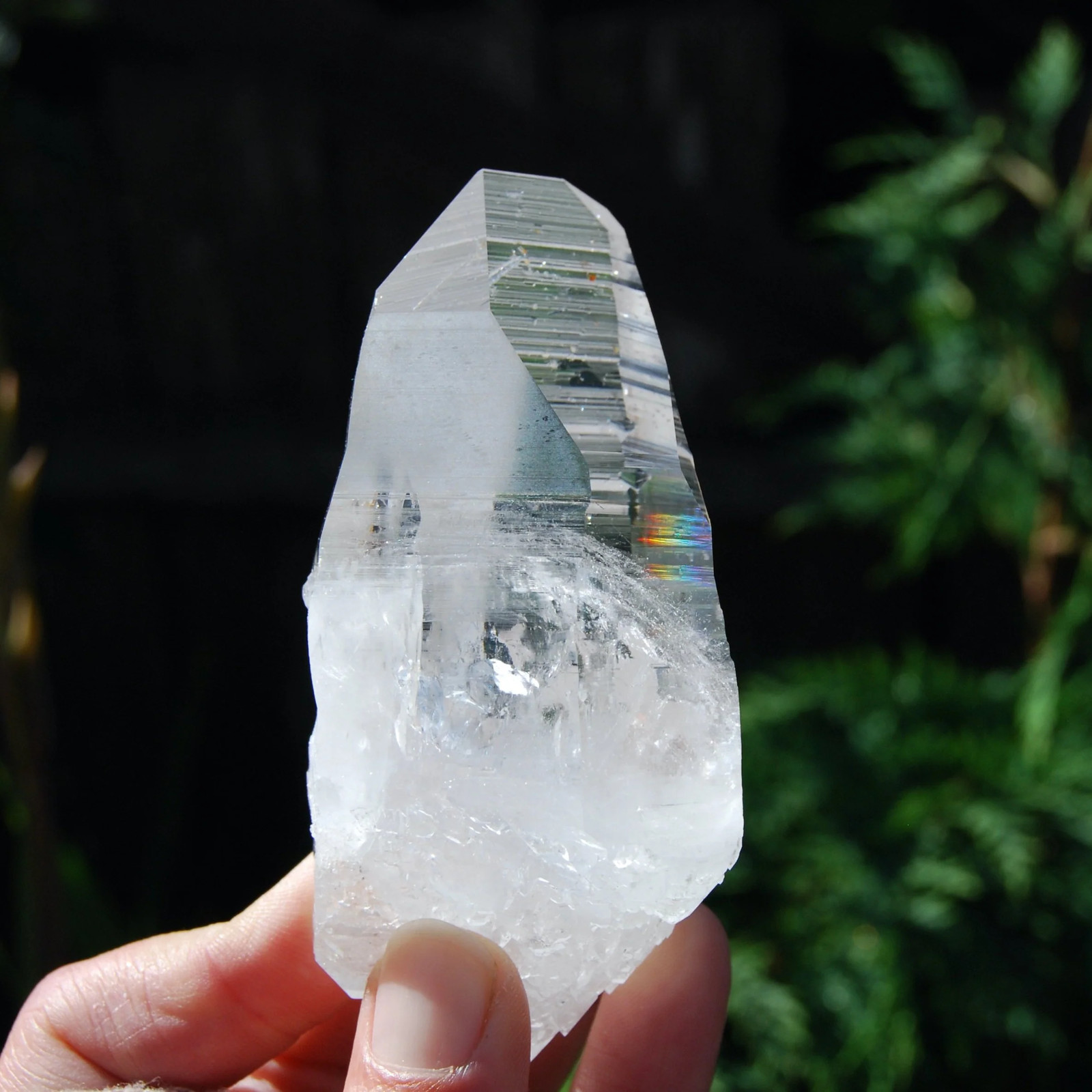 4.25in 227g Colombian Lemurian Seed Crystal Laser Receiver, Self Healed Optical