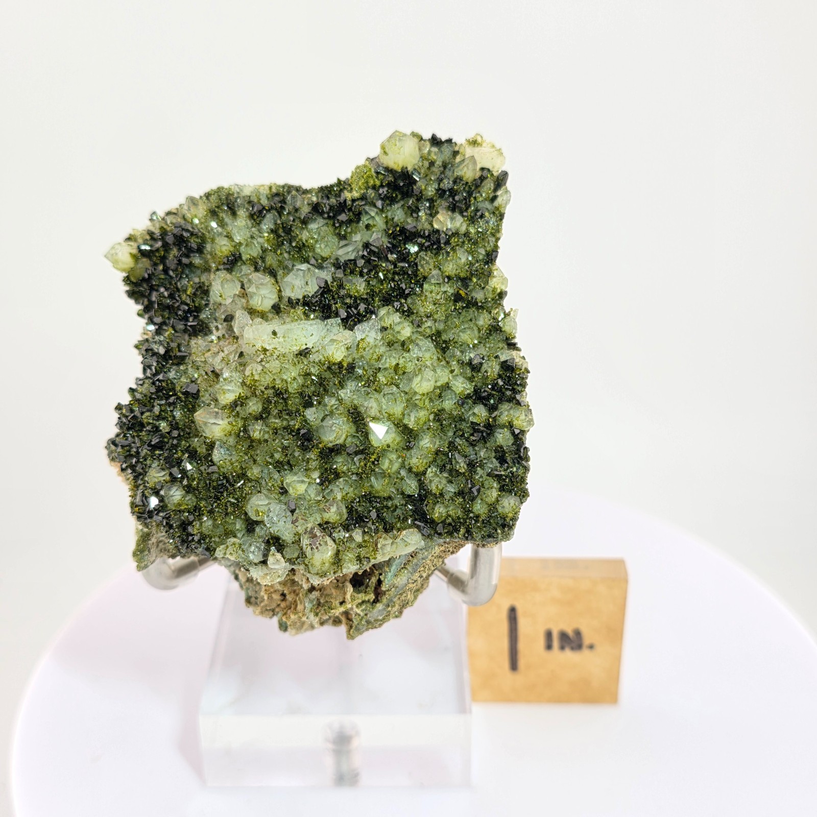 Rich Green Epidote and Sparkly Quartz – Great Contrast and Shades of Green