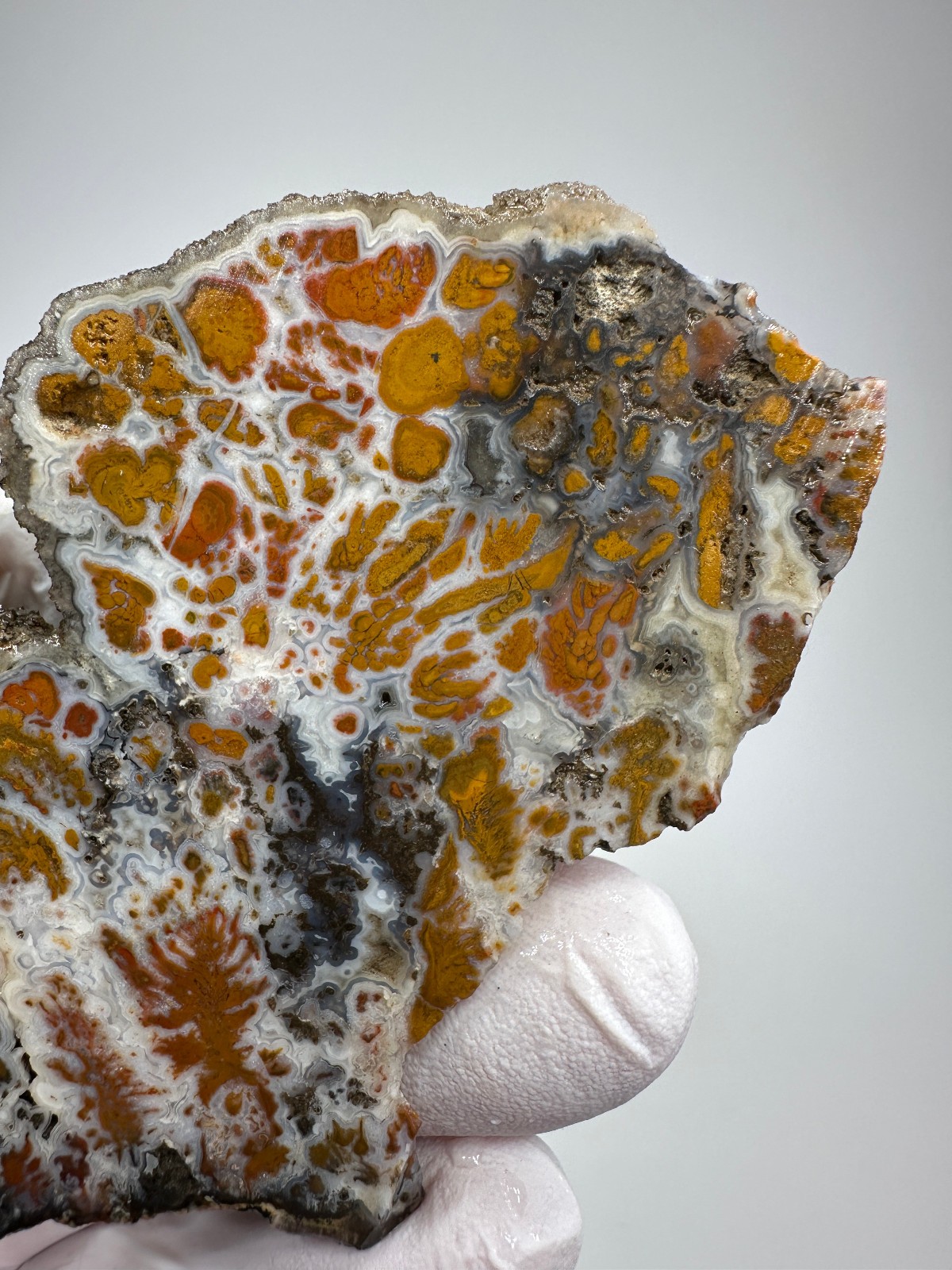 RARE Wingate Pass Plume Agate End-Cut Slab (a.k.a. Death Valley Plume)
