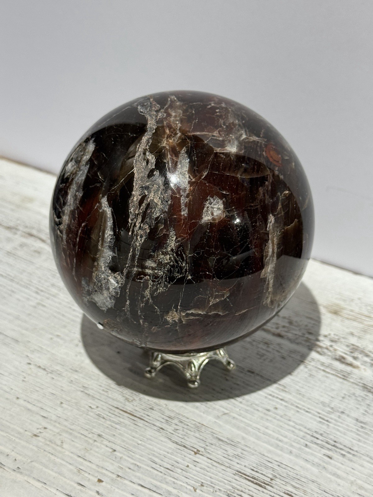 Petrified Wood Sphere 3.75” Natural Stone Carving
