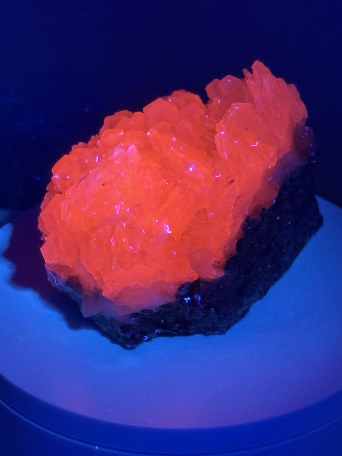 RADIANT Sandwich Calcite Fluorescent Mineral Specimen – China
