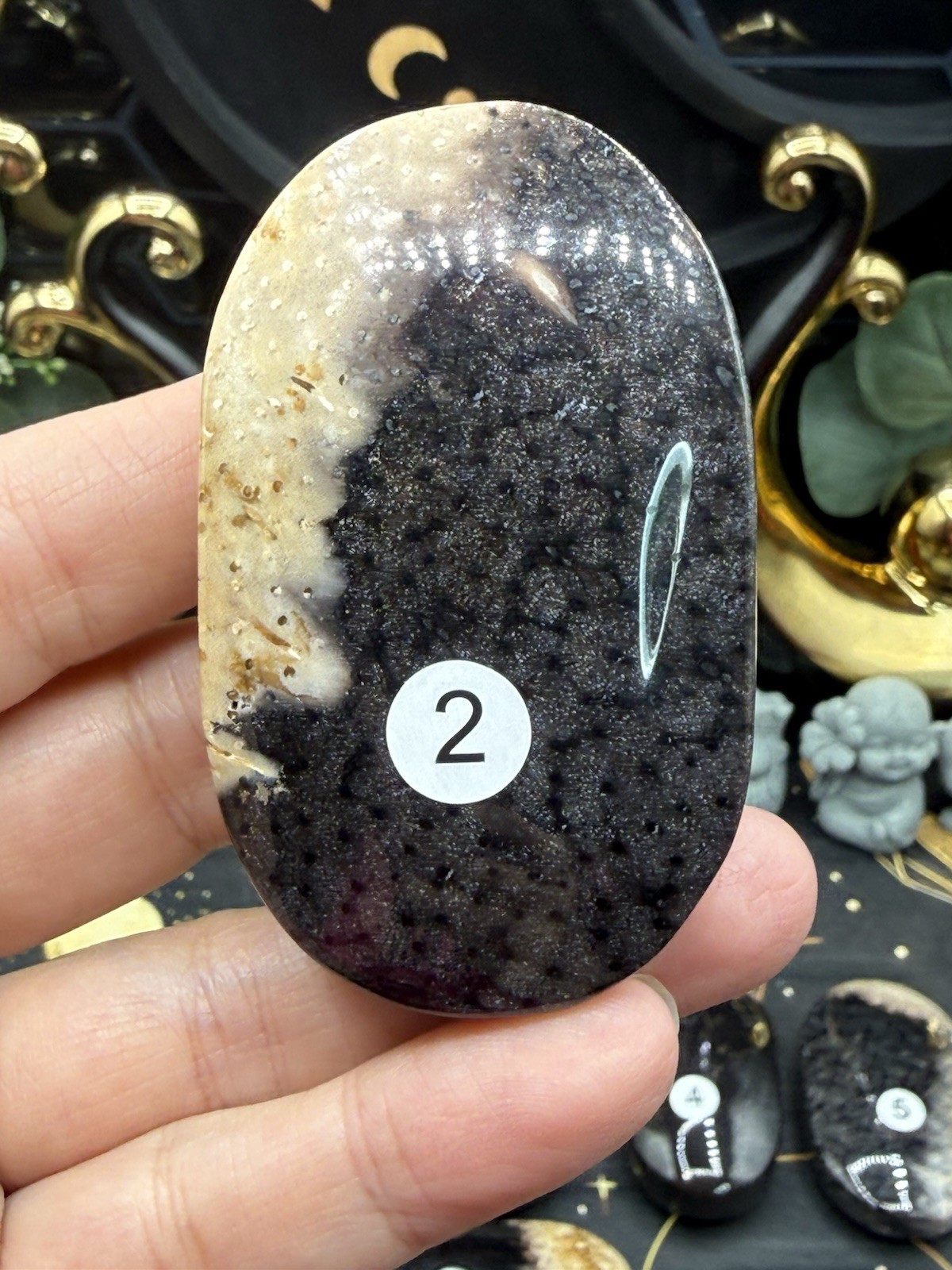 Natural Indonesian Palm Root Palmstones Fossilised Wood Free shipping