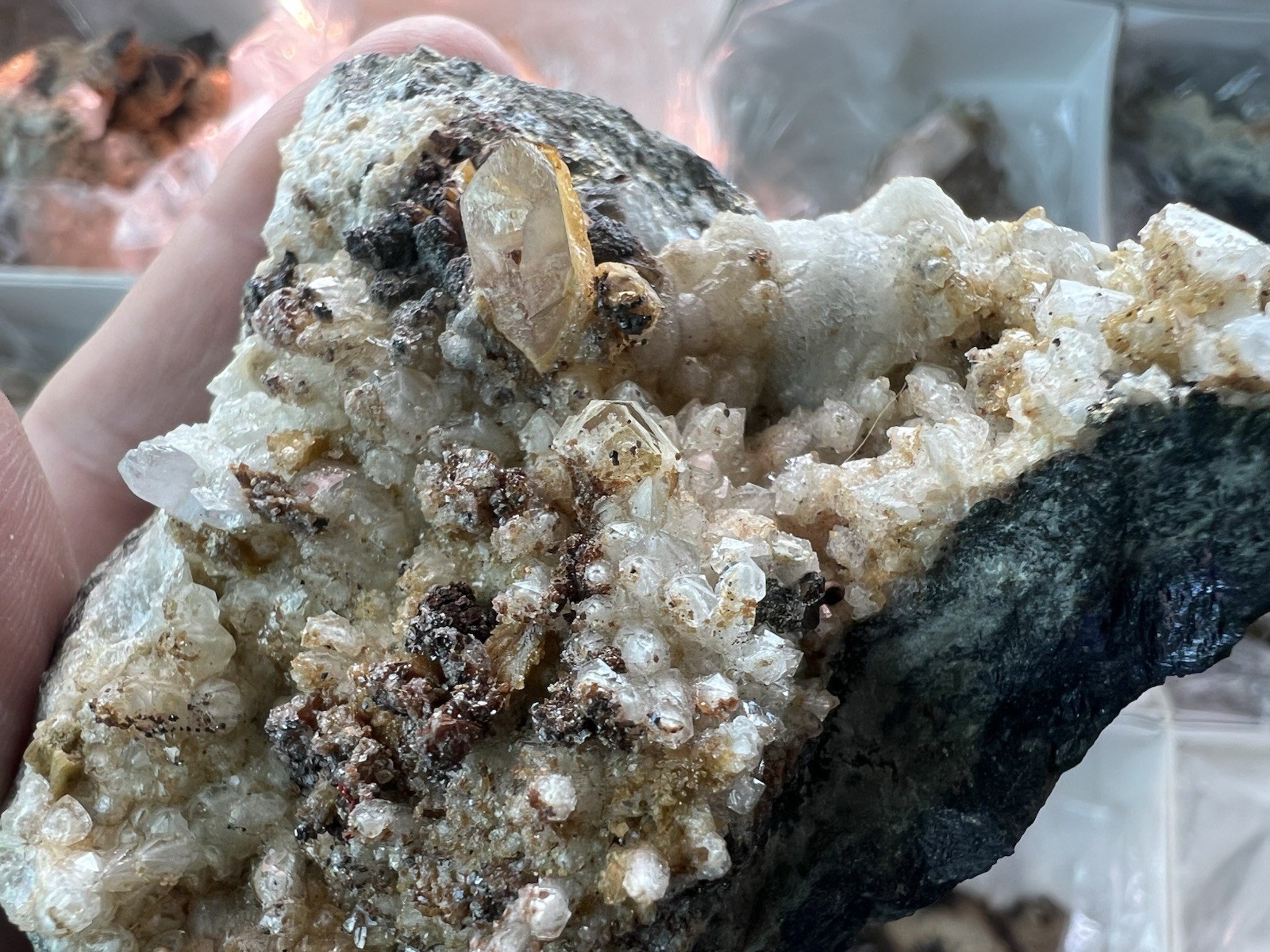 12 Quartz & Siderite Specimens – Potosí Mine, Santa Eulalia, Chihuahua, Mexico