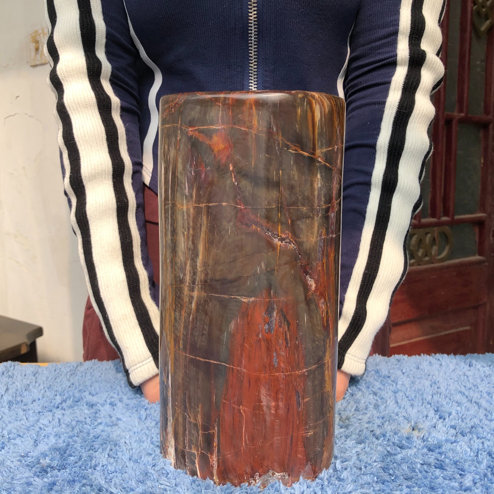 16.3LB Natural wood fossil quartz crystal mineral specimens healing