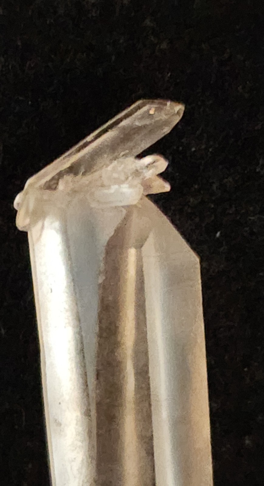 ELEGANT & COMPLEX DT Quartz – Jinkouhe China – Needle Cluster 3.51in