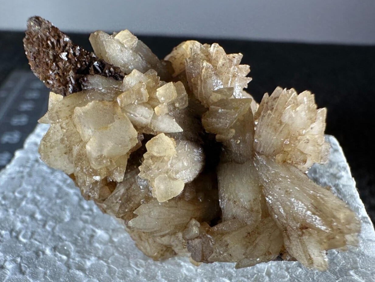 ➤ 1-7/8″ DOGTOOTH CALCITE CLUSTERS Pleasant Ridge Rensselaer Indiana VIDEO➤438