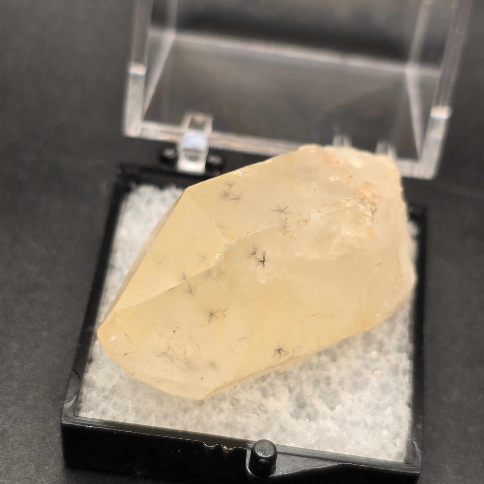 Hollandite Spider Quartz Point Crystal Madagascar Gemstone Specimen in Perky Box