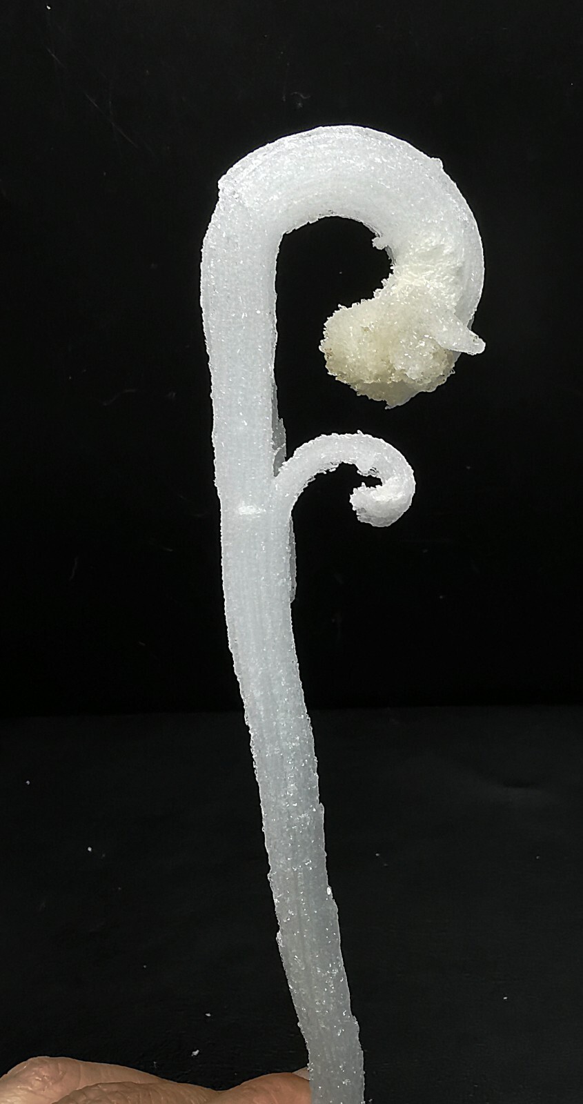 50gNatural ‘Ram’s Horn’ shape Selenite (Gypsum), Natural Mineral Specimen