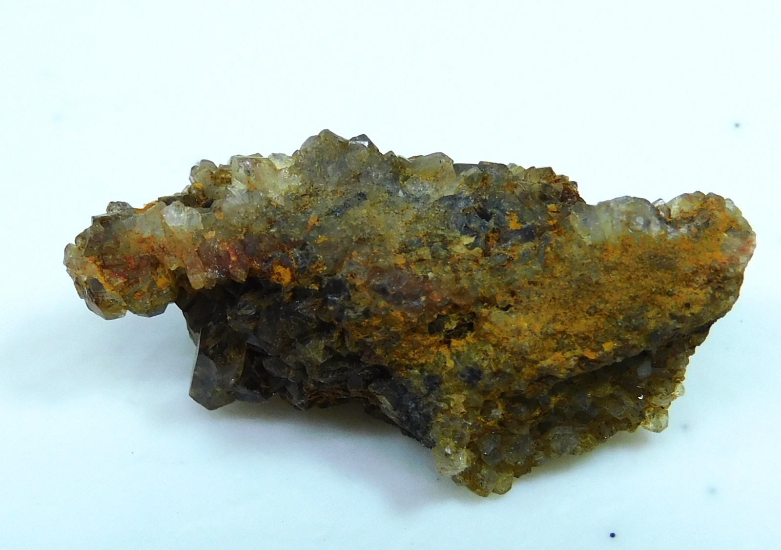 Petrified Wood specimen with brown Crystals From Brilliant Alabama