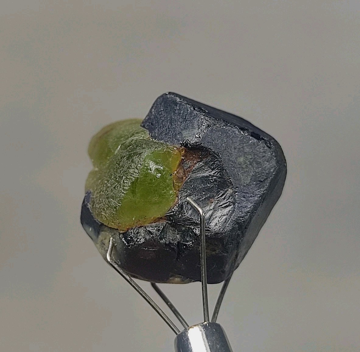 10 gm Stunning Peridot Crystal Combine With Aesthetic Magnetite Crystal.