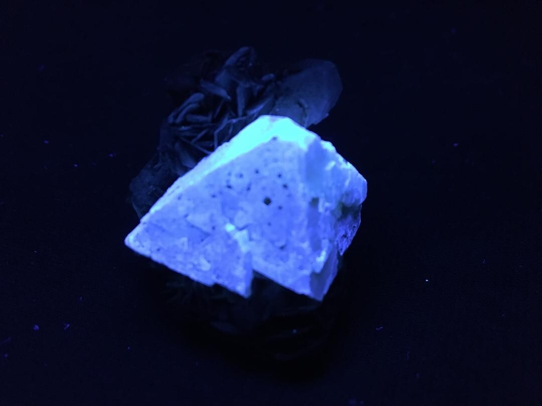 KB: SW FL BRIGHT BLUE/WHITE XL OF SCHEELITE IN MATRIX, SICHUAN PROVINCE, CHINA