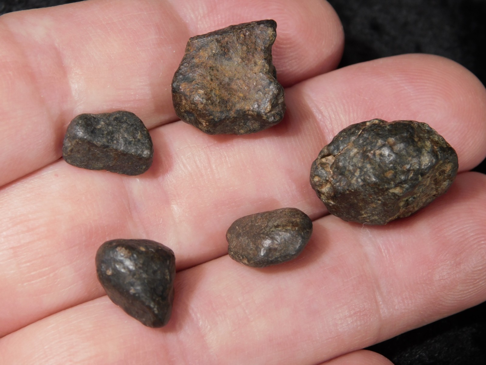 Lot of FIVE! Little 100% Natural N.W.A. Stony METEORITES Algeria 13.2gr