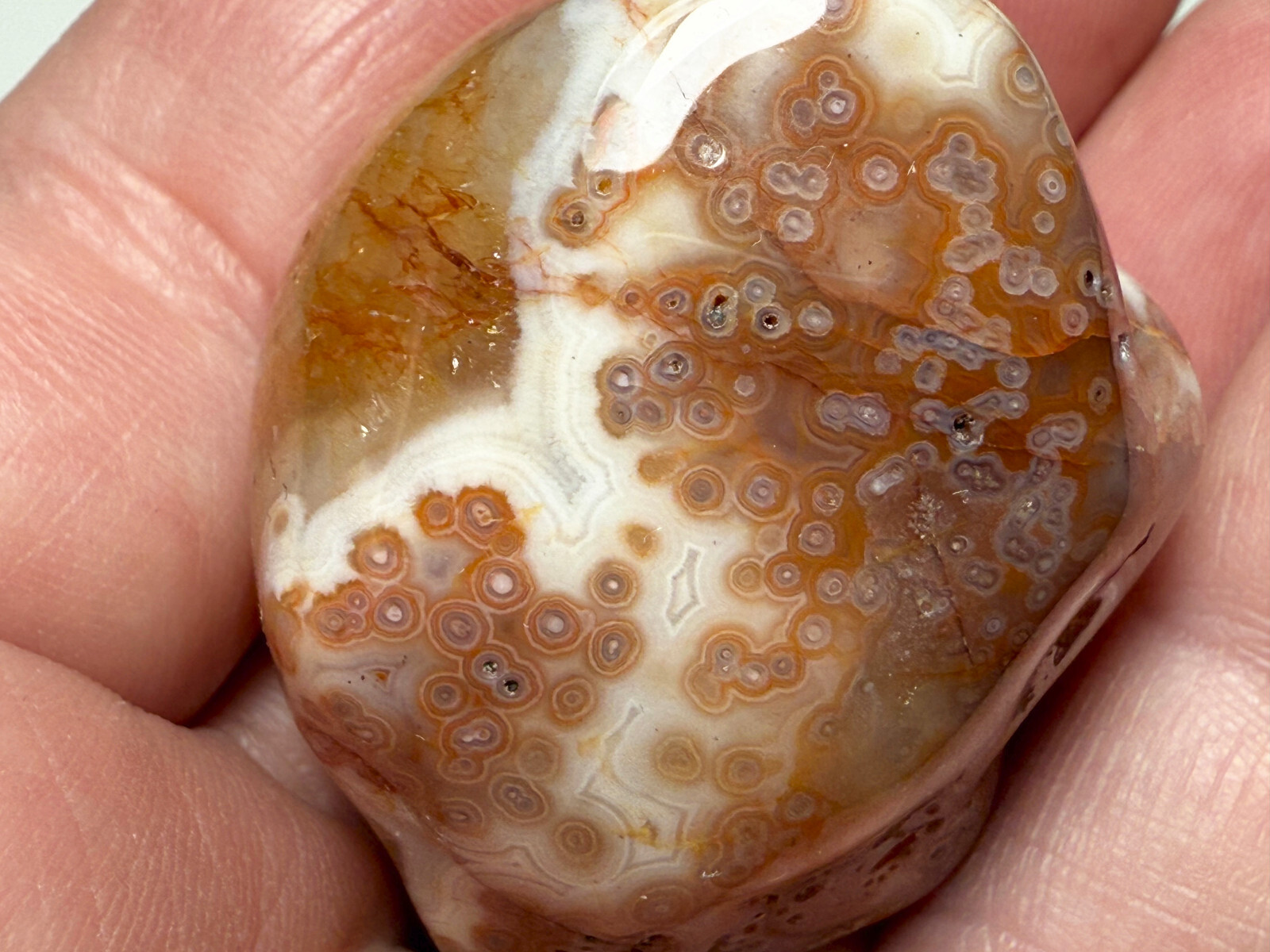 2.0 oz Michigan Minnesota Lake Superior Agate LSA #18 EYES BANDS (polished