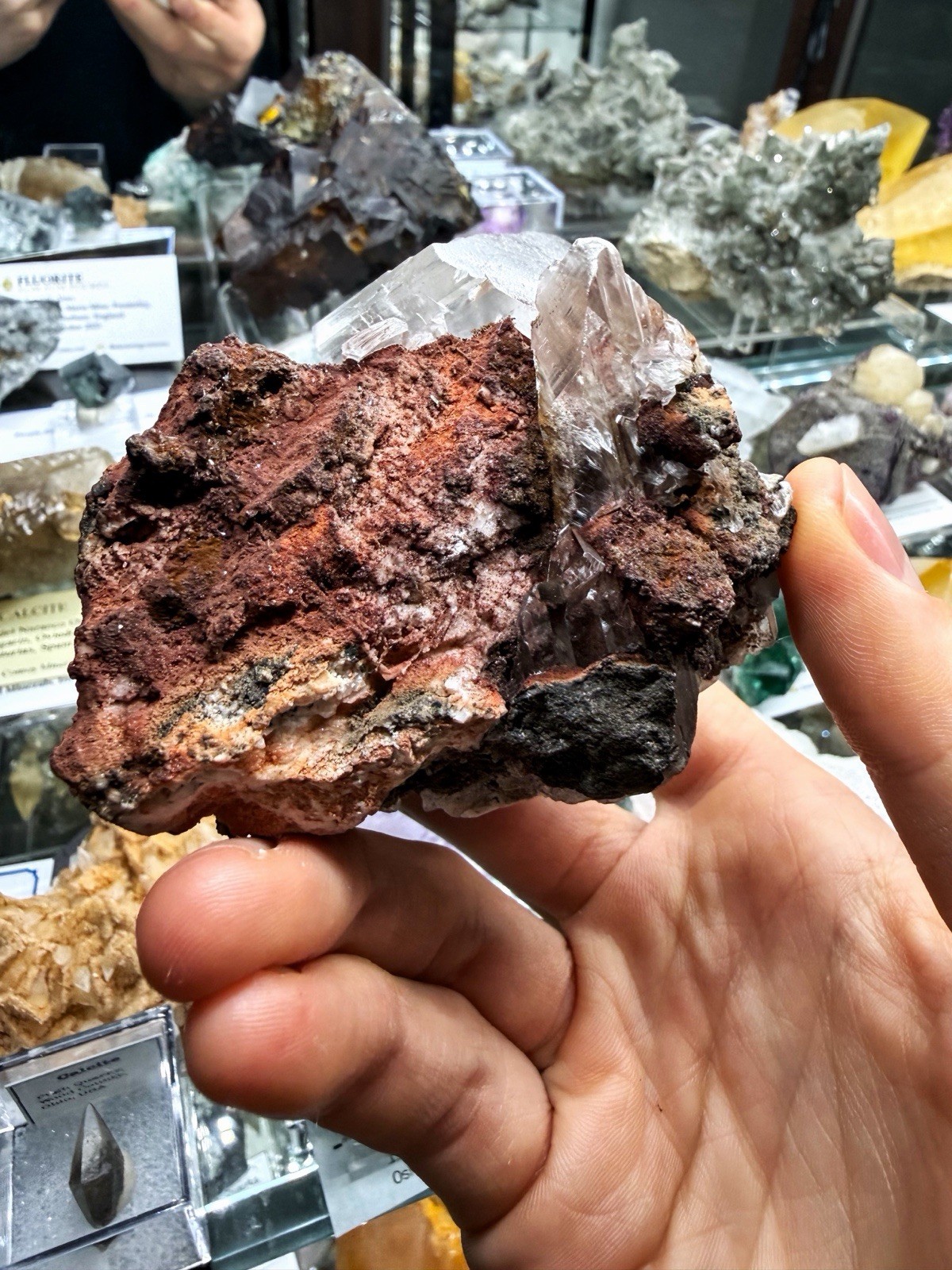 Gypsum Var. Selenite From Chihuahua, Mexico