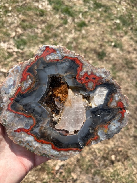 8 1/8”__Beautiful Imperial Kentucky Agate Slab from Estill County