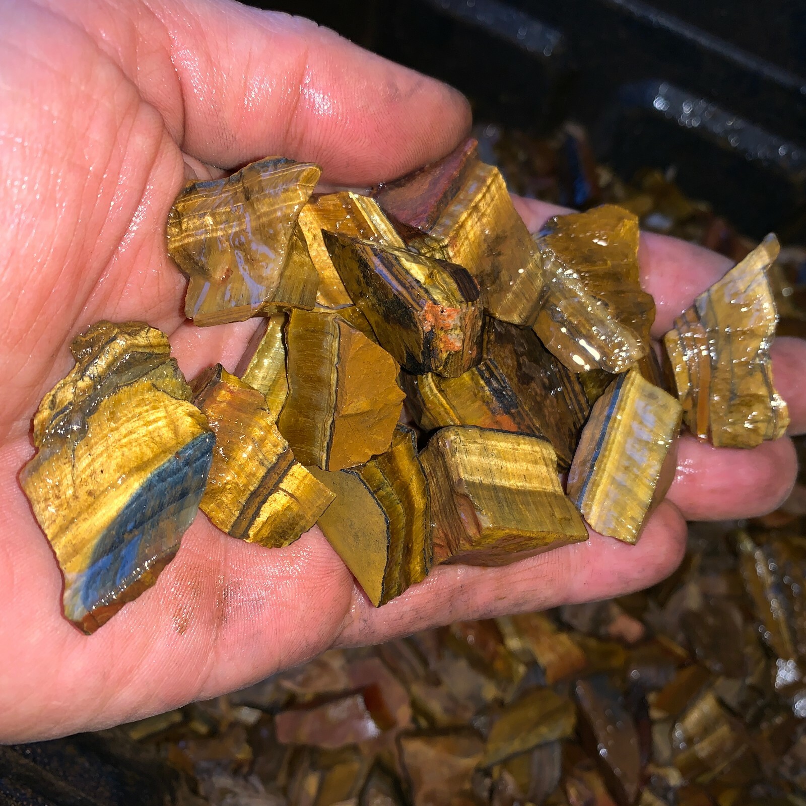 (SMALL) GOLD Tiger Eye Rough – 3000 Carat Lots + a FREE Faceted Gemstone