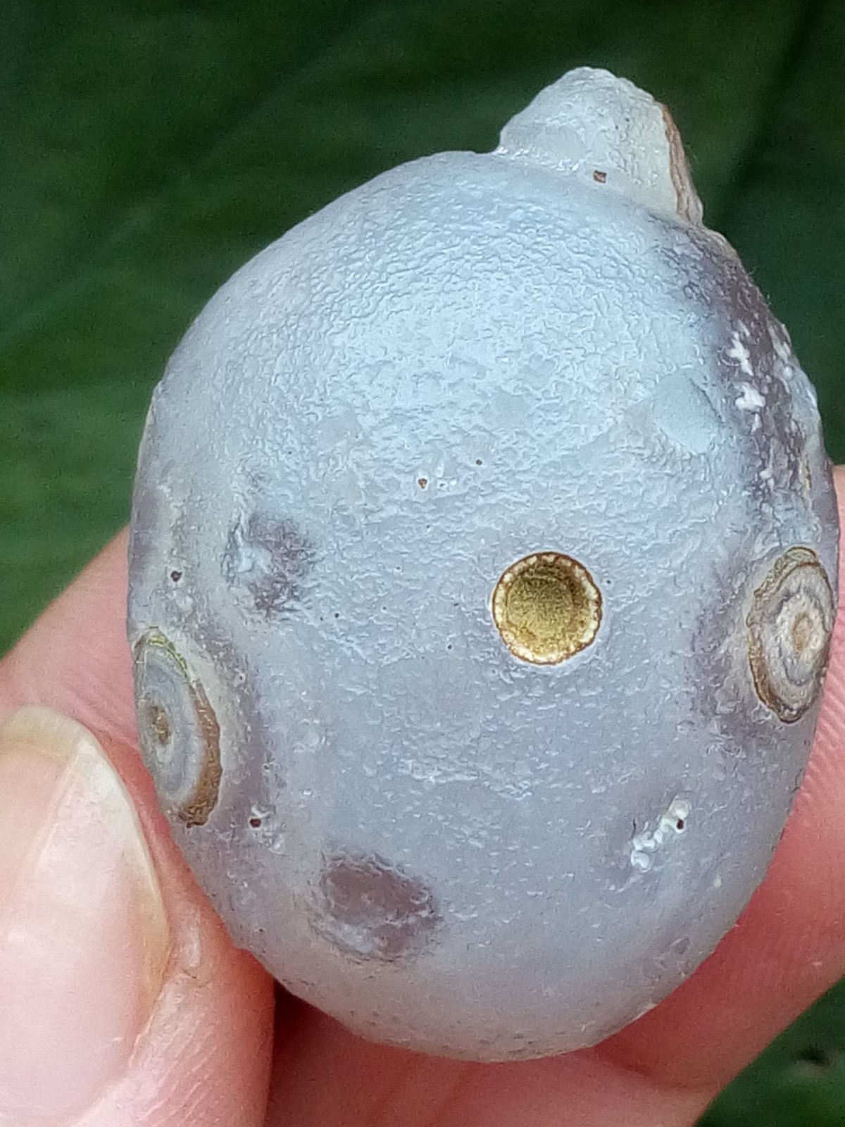 36mm Beautiful Natural agate Gobi agate eye agate stone cute collection