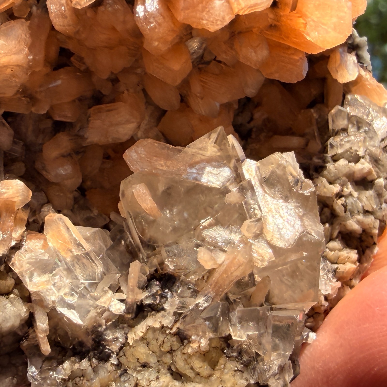 Rare Calcite Stellerite Julgodite Geode India Dual Wave UV Fluorescent Stand